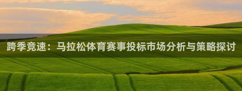 跨季竞速：马拉松体育赛事投标市场分析与策